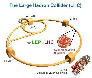 Large Hadron Collider LHC Luminosity 10 34 cm -2 /s E 14 TeV Bosone di Higgs m>100 GeV H Z Z m+ m - m+ GeV m- m - 180 Z * H Z m m m g -