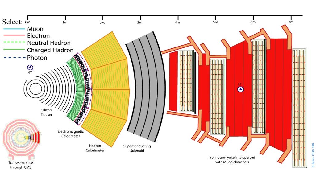 CMS detector Transverse