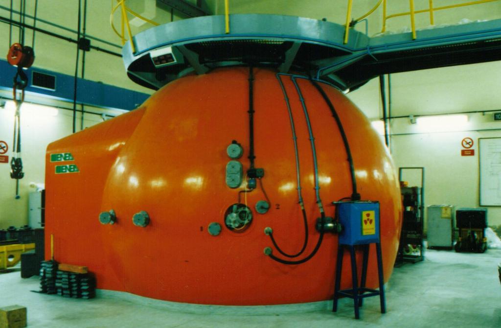 ENEA- TAPIRO Fast source reactor CMS