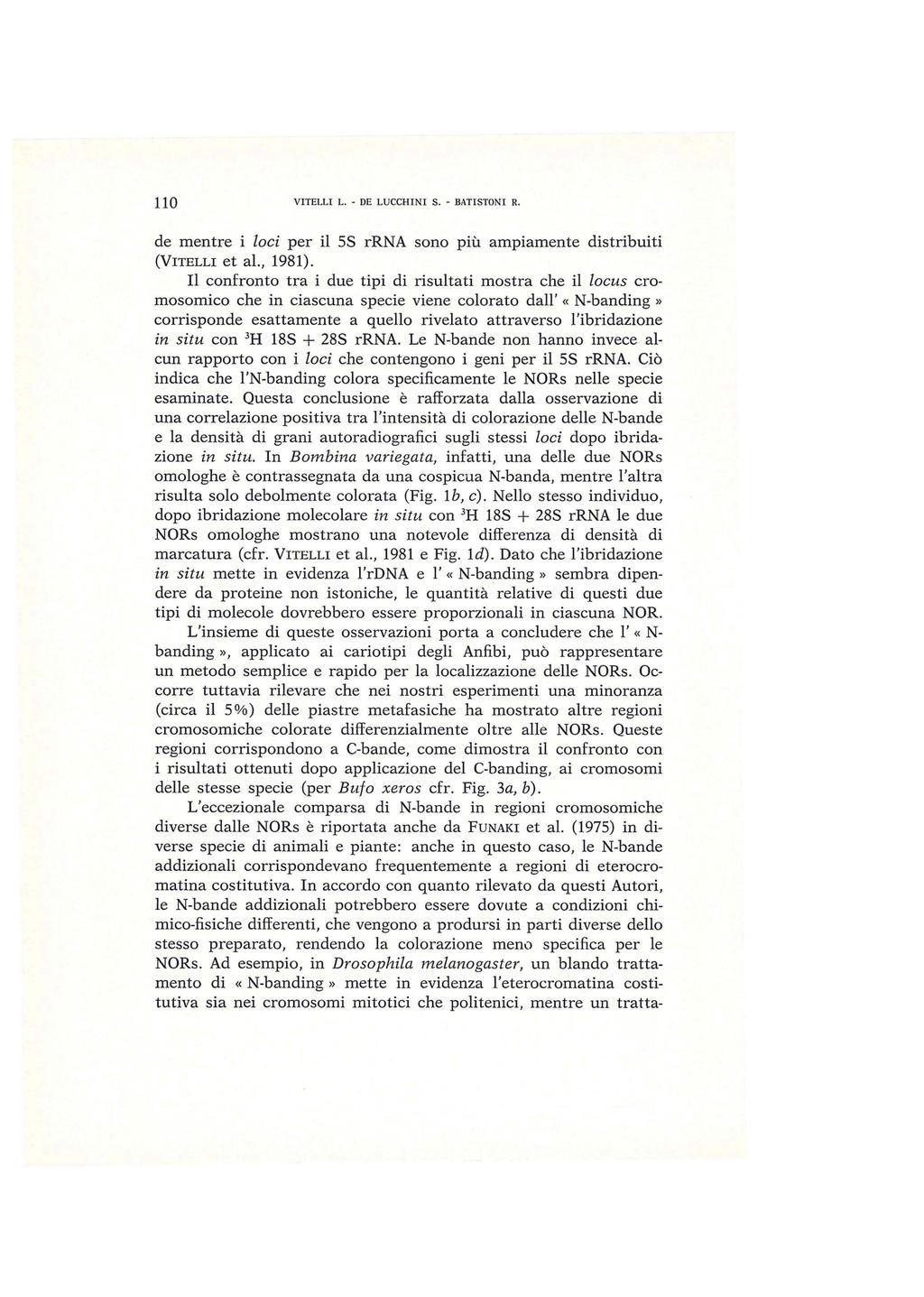 110 VITELLI L. - DE LUCCHINI S. - BATISTON I R. de mentre i laci per il 5S rrna sono più ampiamente distribuiti (VITELLI et al., 1981).
