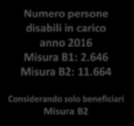 LA DOMANDA I dati FNA: rendicontazione anno 2016 Numero persone disabili in carico anno 2016 Misura B1: 2.646 Misura B2: 11.664 Bisogno di protezione Misura B2 Età 18-65 anni Elevato 1.570 Medio 1.