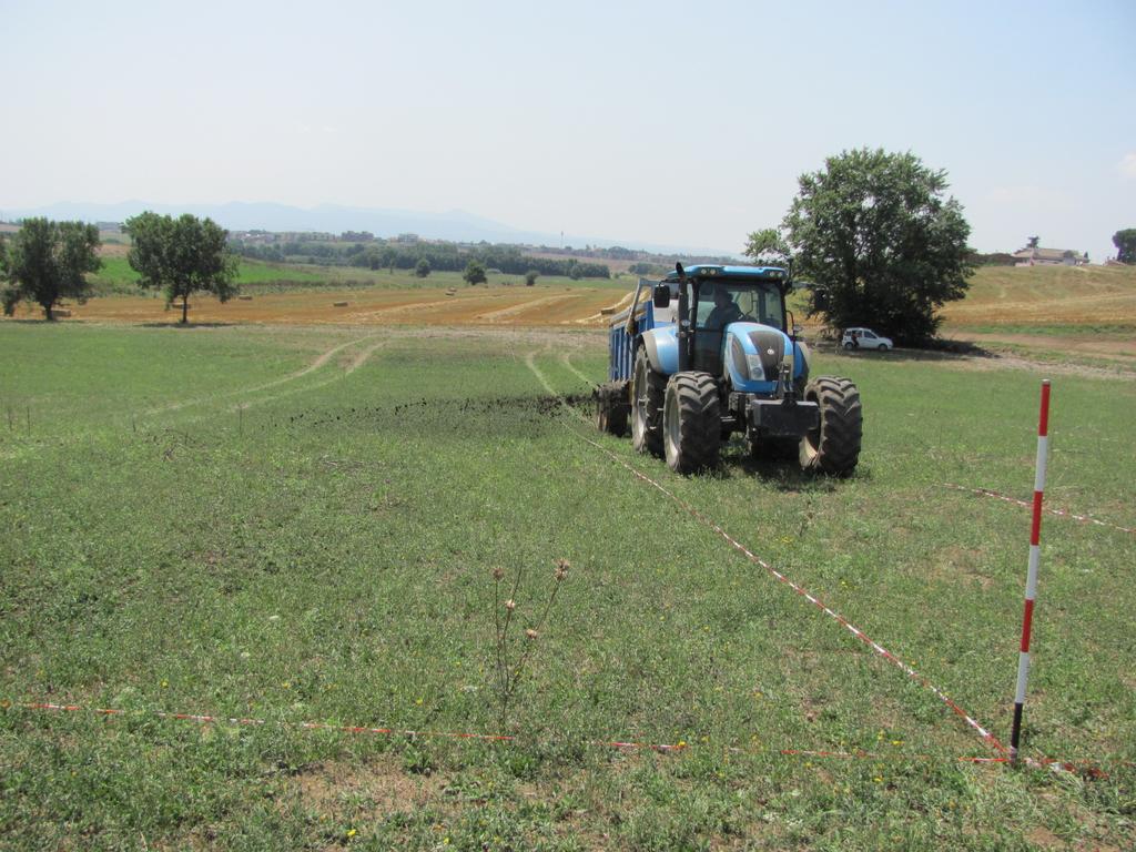Il recupero agronomico Il D. Lgs. 99/92 norma l attività di recupero dei fanghi in agricoltura. I fanghi hanno un effetto ammendante e concimante sui terreni e sulle colture vegetali.