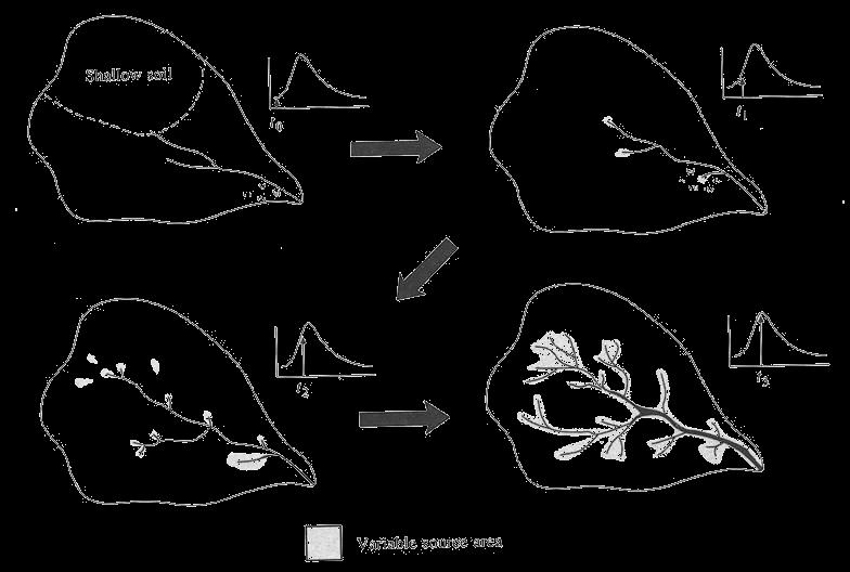 Formazione dei deflussi teoria di Hewlett insaturo P deflusso sottosuperficiale Q i Nel 1961 Hewlett propone un meccanismo di formazione dei deflussi che vede come elementi fondamentali la rete