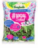 SPONS Social Salad BONDUELLE