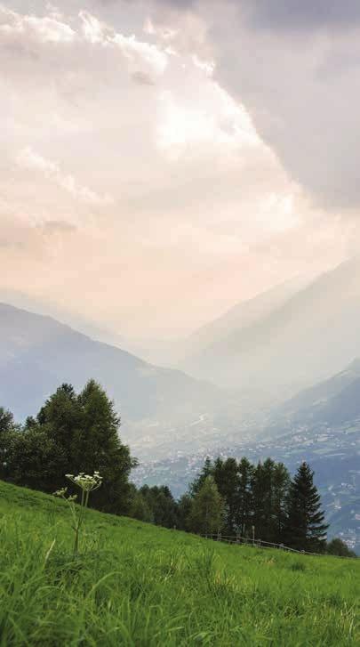 BENESSERE IN SINTONIA CON LA NATURA Dopo aver fatto un pieno di aria fresca di montagna ed emozioni all aria aperta, potrete assaporare la magnifica vista sul territorio meranese e rigenerarvi