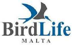 Malta La migrazione post riproduttiva a Malta nel 2016 Edward Bonavia, Raymond Vella, BirdLife Malta Quest anno il campo di osservazioni ha avuto luogo dal 13 agosto al 7 novembre 2016.