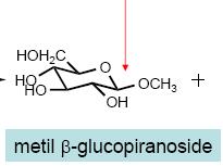 Glicosidi Universita degli Studi di Milano - Corso di Laurea in Biotecnologie - I anno Interfacoltà Corso di