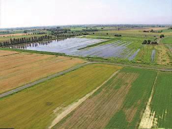 agricole in Emilia Romagna 4.