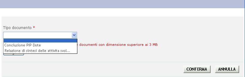 Figura 187 Documenti da caricare Cliccare su Carica documento per aprire la maschera di Upload documenti.