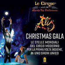 Dal 23 al 31 dicembre 2017 A-Group ALIS Le Cirque World s Top Performers direzione artistica Onofrio Colucci PER LA PRIMA VOLTA A MILANO, L UNICO SHOW CON I MIGLIORI ARTISTI DAL CIRQUE DU SOLEIL E