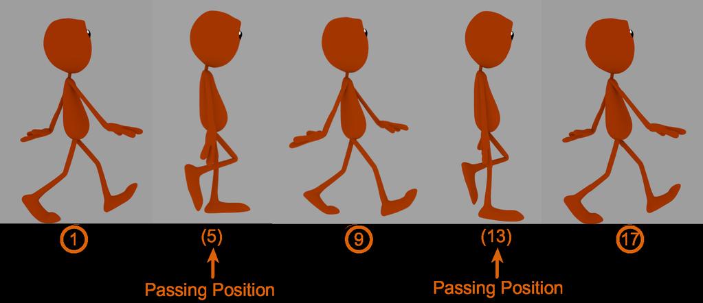 Walking cycle: Come realizzare un ciclo di camminata Fondamenti teorici Una delle operazioni più comuni che un animatore deve essere in grado di fare è quella di realizzare un ciclo di camminata.