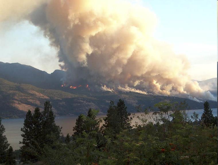 Fumo: dispersione di un solido in un gas Molto spesso il fumo è formato da particelle di carbonio o composti organici non bruciati completamente A seconda del materiale che brucia il colore del fumo