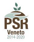 REGIONE DEL VENETO PROGRAMMA DI SVILUPPO RURALE PER IL VENETO 2014-2020 BANDO PUBBLICO REG UE 1305/2013, Art.