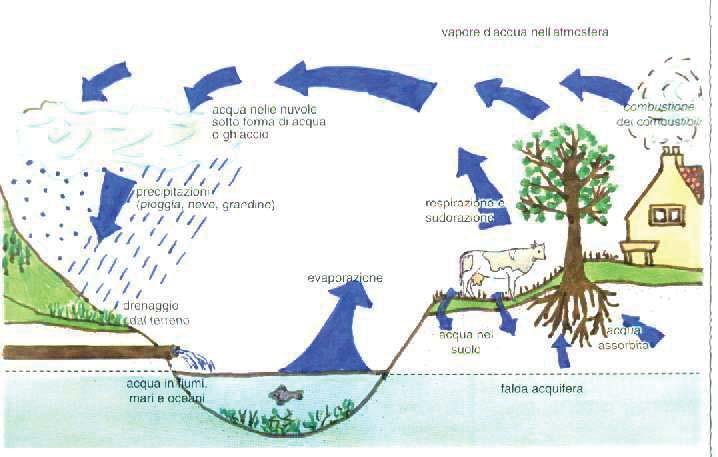 CICLO IDROLOGICO L intero ciclo idrologico può
