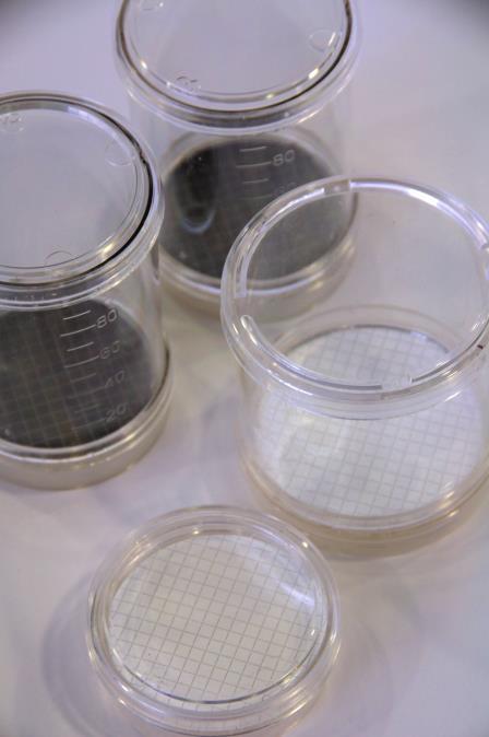 Imbuti filtranti monouso per analisi microbiologiche Biofun Gli imbuti filtranti sterili Biofun sono studiati per la rapida filtrazione su membrana di campioni di acque e liquidi.