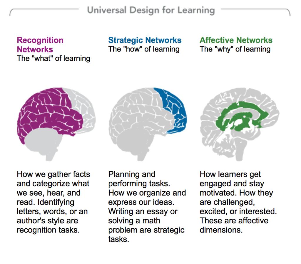 Linee guida di UDL Il framework UDL si