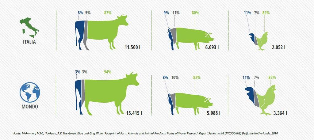 intensivi, permette di ottenere una buona efficienza in termini di risorse impiegate per kg di carne prodotta.