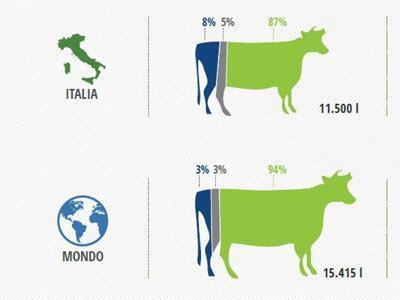 http://www.adnkronos.com/sostenibilita/risorse/2016/03/19/impronta-idrica-dellacarne-made-italy-consuma-meno_t9fx57rj1na5y3lw54khbj.html Impronta idrica della carne?