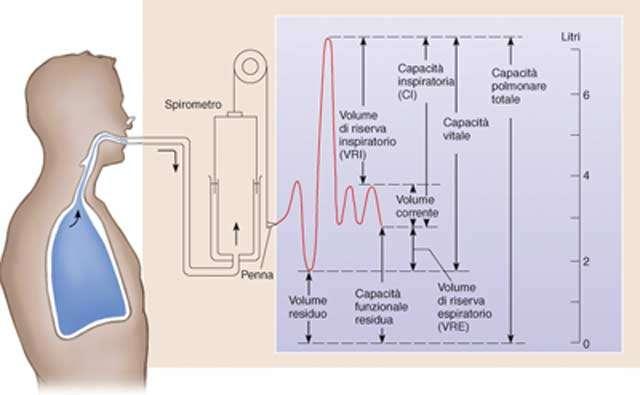 SPIROMETRIA GLOBALE CON DLCO Per poter comprendere il significato di questo esame è necessario definire i volumi e le capacità polmonari, riportati in Figura 4-1 [121].