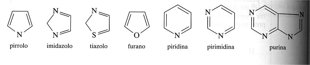 Composti eterociclici I composti eterociclici aromatici o alifatici, mostrano una struttura ciclica in cui sono presenti uno o