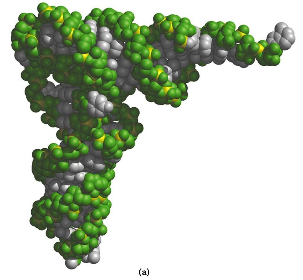 t-rna