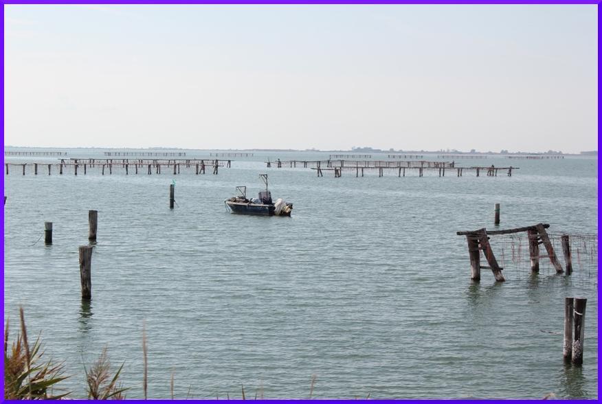 tonnellate LLEE MARINEERI Ma nell area del Delta del Po, oltre alle concessioni in laguna, sono attive anche 18 concessioni di mitilicoltura a mare (offshore), che sommano a complessivi 2.