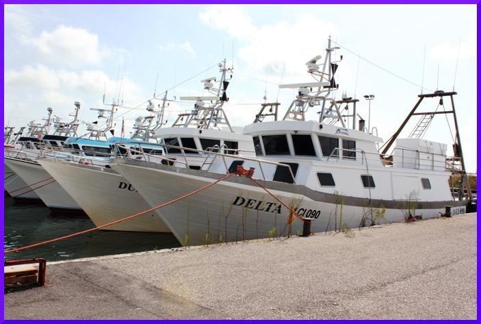 unità LLEE MARINEERI LLA FLLOTTA La storica e importante flotta marittima e lagunare delle cittadine polesane di Porto Tolle, Porto Viro e Scardovari è alquanto variegata, essendo costituita dalle