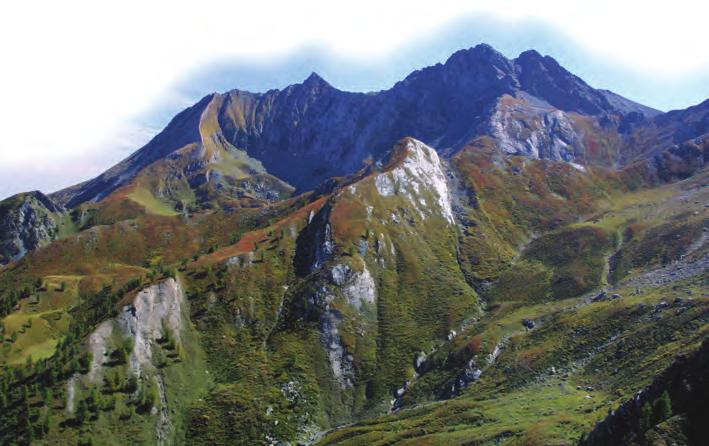 ORSIERA ROCCIAVRÈ IT1110006 SIC e ZPS ORSIERA ROCCIAVRÈ Comuni interessati: Bussoleno, Coazze, Fenestrelle, Mattie, Meana di Susa, Roreto Chisone, San Giorio di Susa, Usseaux, Villarfocchiardo