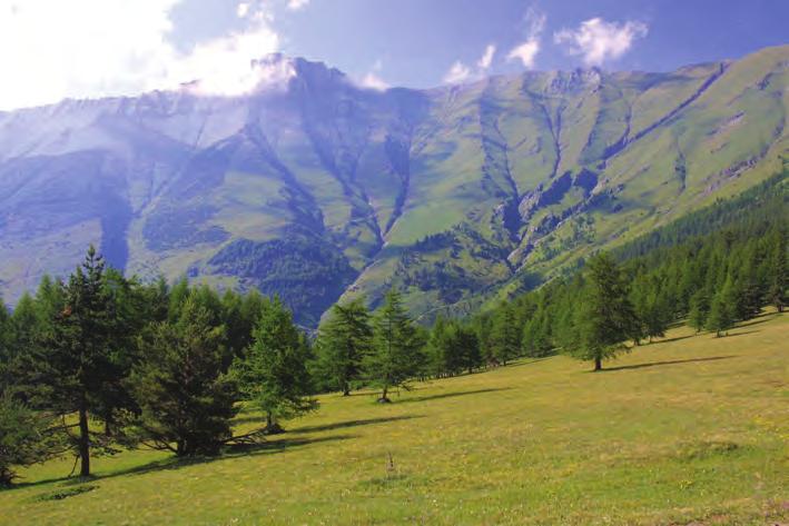 IT1110006 Prateria nei pressi di Prà Catinat; sullo sfondo il Monte Pelvo. Nella pagina a fianco, veduta del Vallone degli Adretti nei pressi del Colle delle Finestre.