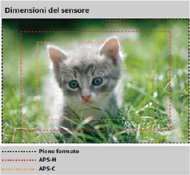 SENSORE DIMENSIONI SENSORE ED AREA INQUADRATA A parita di focale l area