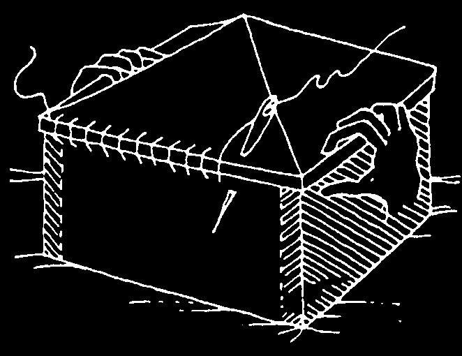 Connessioni Effetto scatola Strutture in muratura (L. B.