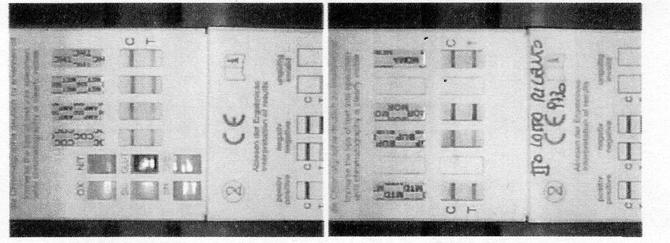 2. RACCOLTA DEL CAMPIONE A CURA DEL MC ED ESECUZIONE IN LABORATORIO DEL TEST IMMUNOCHIMICO Il MC dovrà provvedere a suddividere il campione in tre distinti contenitori da