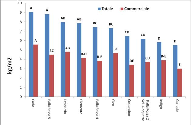 RISULTATI L andamento climatico dell autunno 2012 è stato caratterizzato da scarse precipitazioni e temperature medie superiori alla norma che hanno consentito un buon sviluppo della coltura e un