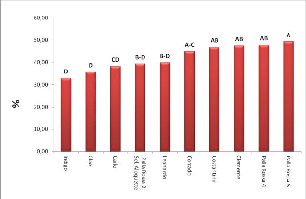 Osservando le produzioni riportate in Figura 2 si può notare che prima della mondatura le cultivar più produttive sono risultate CARLO e PALLA ROSSA 5 seguite da LEONARDO e CLEMENTE che non si