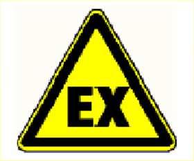 Le due direttive ATEX Datore di lavoro Fabbricante Direttiva 99/92/CE Direttiva 2014/34/uE ATEX 137 ATEX 114 Luoghi