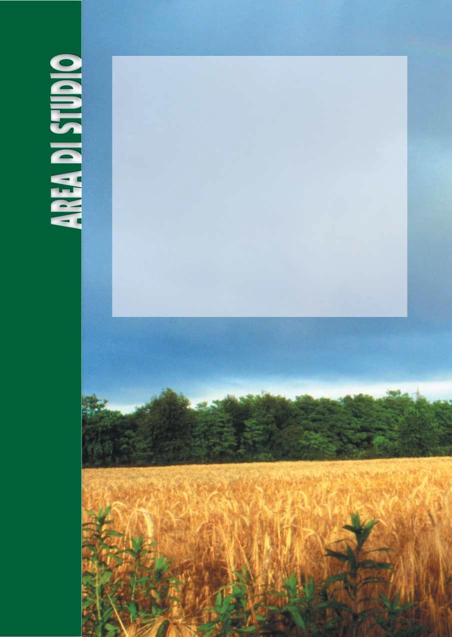 AREA DI STUDIO Il Parco del Roccolo è un Parco locale di interesse Sovracomunale, riconosciuto dalla Regione Lombardia nel 1994, di circa 15 Kmq costituito da coltivi, boschi, prati, canali di