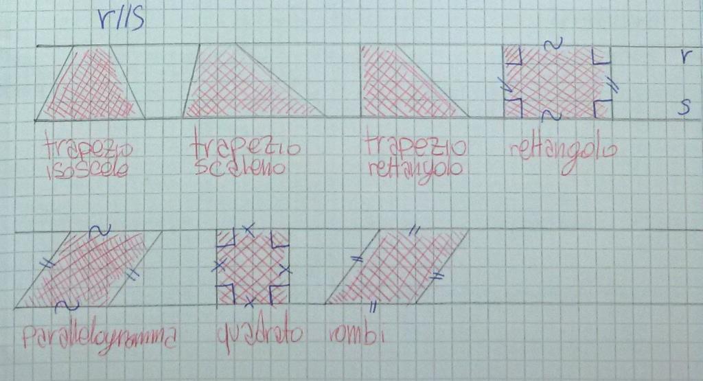 E concludiamo con i trapezi, questa volta partendo dalla definizione Partendo dalla definizione i ragazzi hanno disegnato due