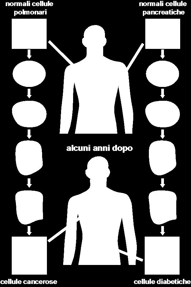 La figura ricorda che occorrono molte mutazioni per trasformare un tessuto normale in tessuto tumorale.