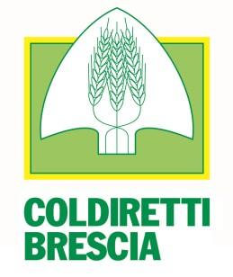 Il cibo sano per ogni bambino: una sana e corretta alimentazione nelle scuole IL CIBO SANO PER OGNI BAMBINO Anno scolastico 2017-18 Progetto dedicato alla scuola primarie e al personale docente della