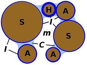 S: particella non colloidale A: colloide minerale H: