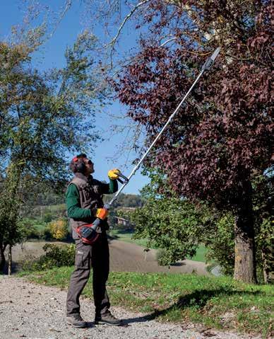 le stagioni: per rasare il prato e potare le siepi in primavera o per potare piante e soffiare foglie durante il periodo autunnale.