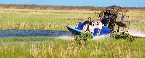 Everglades Tour Un viaggio alla scoperta di quello che è un vero gioiello e patrimonio naturale.