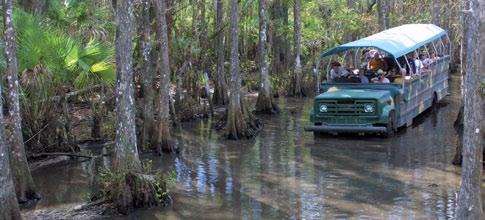 tappa sarà il Billie Swamp Safari all interno della riserva indiana Big Cyprus Seminole.