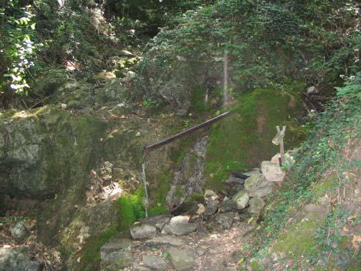 La sorgente 33 è costituita da un piccolo tubo metallico sgorgante a metà di una piccola parete rocciosa concrezionata la cui acqua si immette dopo 3-4 metri nel ruscello prodotto dall acqua