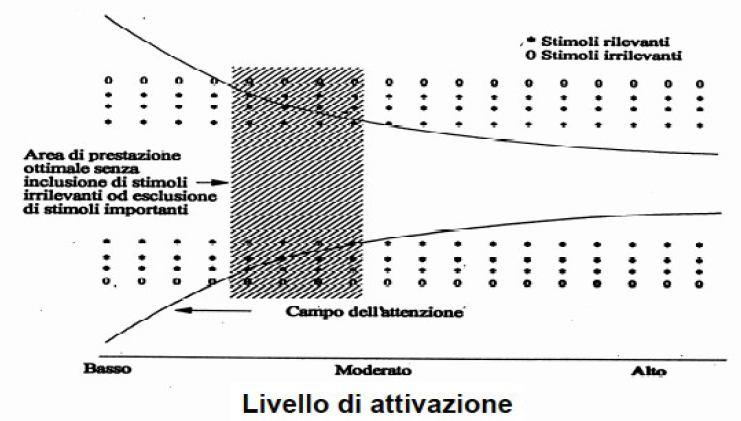 ATTIVAZIONE E FOCUS ATTENTIVO ATTIVAZIONE E FOCUS ATTENTIVO (Weinberg and