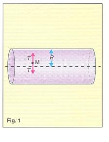 Fenomeni di elasticità nei condotti del sangue Consideriamo un segmento di vaso cilindrico di raggio R (un segmento di vena o arteria) contenente un liquido, in questo caso sangue, ad una pressione