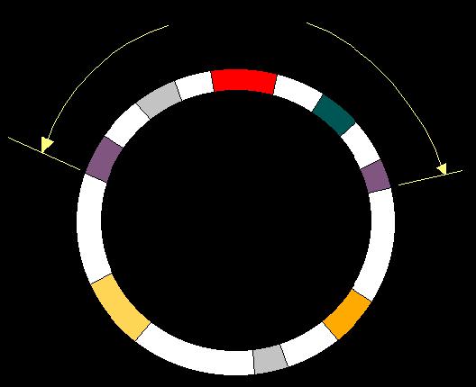 Regione T-DNA (12-24 kb) del plasmide Ti dell Agrobacterium tumefaciens Regione T-DNA Geni vir: essenziali per il trasferimento e l integrazione della regione T-DNA Auxina Cytokinina Opine Auxine