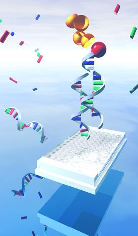 DIAGNOSTICA degli OGM negli ALIMENTI TEST sulle PROTEINE TEST sul DNA Rilevazione immunologica della proteina codificata dal transgene (ELISA) Ricerca del transgene e di sequenze ad esso correlate