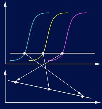 N. cicli Fluorescenza QUANTIFICAZIONE del PRODOTTO di PCR Identificando il primo ciclo della PCR in corrispondenza del quale inizia l amplificazione esponenziale del prodotto è possibile quantificare