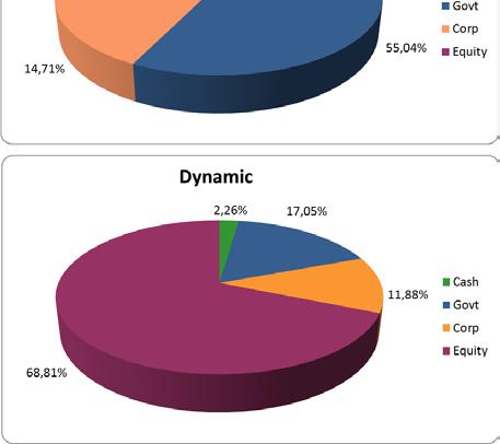 seguono mostrano la composizione percentuale degli